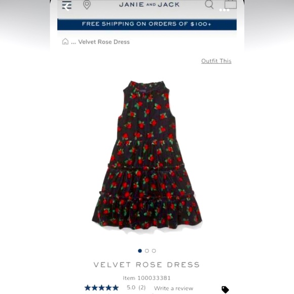 JANIE and JACK Gorgeous Velvet Rose Dress Special Occasion Party Festive Photos - Picture 2 of 4